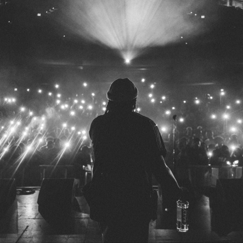 Stock - artist holding mic from back